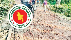 কাজ পাচ্ছেন ৪৬ হাজার দুস্থ নারী
