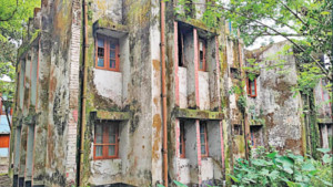 কাজের দেখা নেই, বিল তোলা সারা