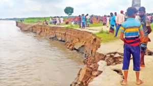 পদ্মায় বিলীন শত শত বিঘা জমি