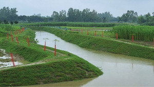 খননে নবজন্ম দুই খালের