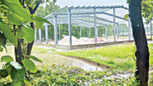 বন রক্ষার প্রতিশ্রুতি প্রশ্নের মুখে, ভাগাড়ের পর এবার বিদ্যুৎ