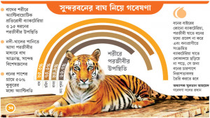 বনে দূষণ, বিপদে বাঘ