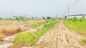 ১৫০ কোটি টাকার শিল্পনগরীতে কাশবনের রাজত্ব