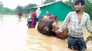 পাহাড়ে বন্যা কি নিয়মিত হতে থাকবে?