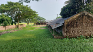 শালিখায় নামসর্বস্ব শিক্ষা প্রতিষ্ঠানে দেড় কোটি টাকার বরাদ্দ