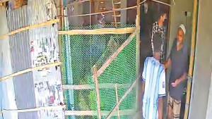 চাঁদা না পেয়ে ব্যবসায়ীর ভবনে ভাঙচুর, গুলি