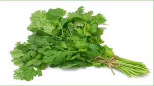 ম্যাগনেশিয়ামের অভাব পূরণ করবে যে ভেষজ