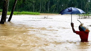 মাছচাষিদের মাথায় হাত, ক্ষতি ৫১ কোটি টাকার