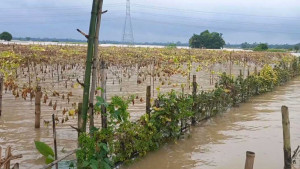 পানি নামতেই ভেসে উঠছে ক্ষতচিহ্ন