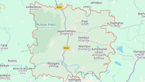 বন কর্মকর্তার সামনেই মেছোবাঘ পিটিয়ে হত্যা