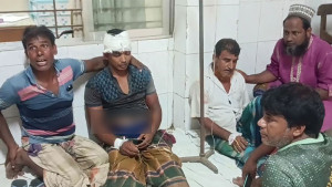 মেহেরপুরে গরু বোঝাই ট্রলি উল্টে চালক নিহত, আহত ১০
