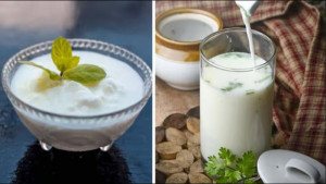 দুধ নাকি দই, কোনটির পুষ্টিগুণ বেশি?
