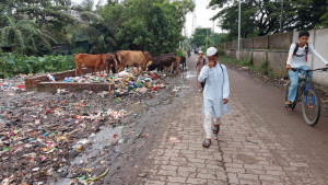 দুর্গন্ধে নাকাল নোয়াখালীবাসী