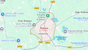 শেরপুরে পাগলা কুকুরের আক্রমণে শিশু ও পরীক্ষার্থীসহ আহত ২১
