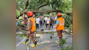 সীতাকুণ্ডে গাছ কাটার ঘটনায় সওজের মামলা, গ্রেপ্তার ২