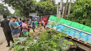 সোনারগাঁয়ে ট্রাকের ধাক্কায় পথচারী নিহত, আহত ৪