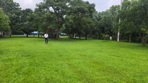 প্রকৃতির নীরবতায় যেন আজও হেঁটে বেড়ান হুমায়ূন আহমেদ