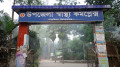 কাঁঠাল গাছ থেকে পড়ে কলা ব্যবসায়ীর মৃত্যু