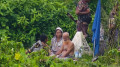 রাতে শূন্যরেখায় থাকা তিনজন সকালে উধাও