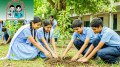 ১৫ জুলাই সব সরকারি প্রাথমিক বিদ্যালয়ে বৃক্ষরোপণের নির্দেশ