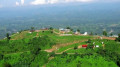 ভারী বর্ষণ