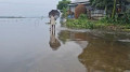 কুশিয়ারা নদীর পানি বিপদসীমার ১৮ সেন্টিমিটার ওপরে