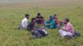 মহেশপুর সীমান্তে ৬ জনকে পুশইনের চেষ্টা প্রতিহত করল বিজিবি