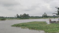 কালভার্ট-ব্রিজের মুখ বন্ধ, জলাবদ্ধতায় ডুবেছে নিচু এলাকা