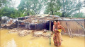 সোয়া ১০ লাখ মানুষ ক্ষতিগ্রস্ত, ৫১ মৃত্যু