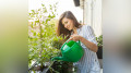 বাগান করা কি মস্তিষ্কের তারুণ্যতা ধরে রাখতে পারে 