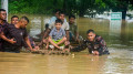 বন্যাকবলিত ১১ জেলায় বিজিবি মোতায়েন