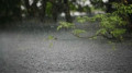 আট বিভাগে ভারী বৃষ্টিপাতের সতর্কবার্তা