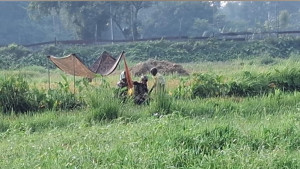 পাঁচবিবি সীমান্তে ভারতীয় বৃদ্ধকে পুশইনের চেষ্টা, উত্তেজনা