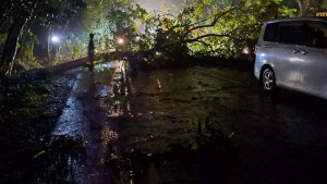 উল্লাপাড়ায় ঝড়ে গাছ ভেঙ্গে ২ ঘণ্টা যান চলাচল বন্ধ