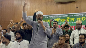 সংস্কার বাস্তবায়ন না হলে বিএনপি সরকারেরও পতন হবে: নাসিরুদ্দিন পাটোয়ারী