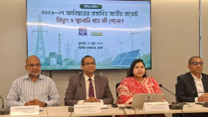 বিদ্যুৎ খাতের বরাদ্দের ৯৮ শতাংশই জীবাশ্ম জ্বালানির দখলে