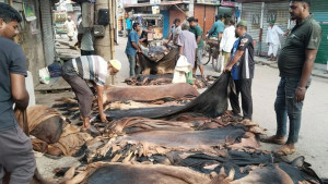 নির্দেশনারই দর পতন?