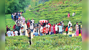 পর্যটন কেন্দ্রে উপচে পড়া ভিড়