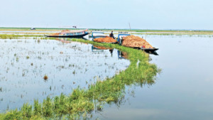 ২৬ বছরেও মাঠে নেই হাওর অধিদপ্তর