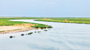 হাওরের গলার কাঁটা বাঁধ