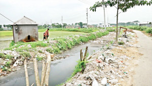 খালের পানিতে ছাইয়ের আস্তর
