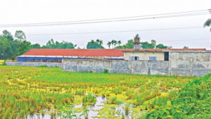 ৩১৬ একর জমি প্রভাবশালীদের দখলে