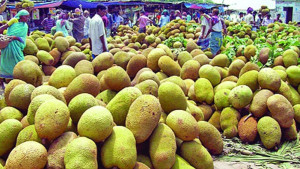 কাঁঠাল খুলেছে রপ্তানির নতুন সম্ভাবনার দ্বার