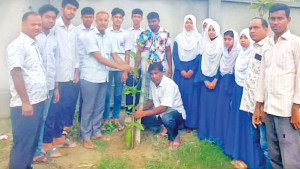 সপ্তাহব্যাপী গাছের চারা রোপণ