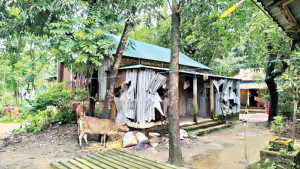 অভিযুক্ত যুবক কারাগারে আতঙ্কে হিন্দু সম্প্রদায়