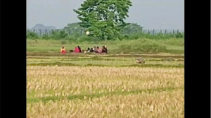 সীমান্তে ঠেলে পাঠানো ১০ জনকে সরিয়ে নিয়েছে বিএসএফ