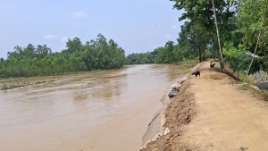 টানা বৃষ্টিতে বন্যার শঙ্কা উত্তর পূর্বাঞ্চলে