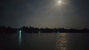 বাগেরহাটে ৭ বছরের শিশুকে ধরে নিয়ে গেল কুমির
