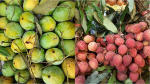 ফল থেকে রাসায়নিক দূর করার ঘরোয়া উপায়