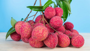 খালি পেটে  লিচু খেলে যেসব সমস্যা হতে পারে
